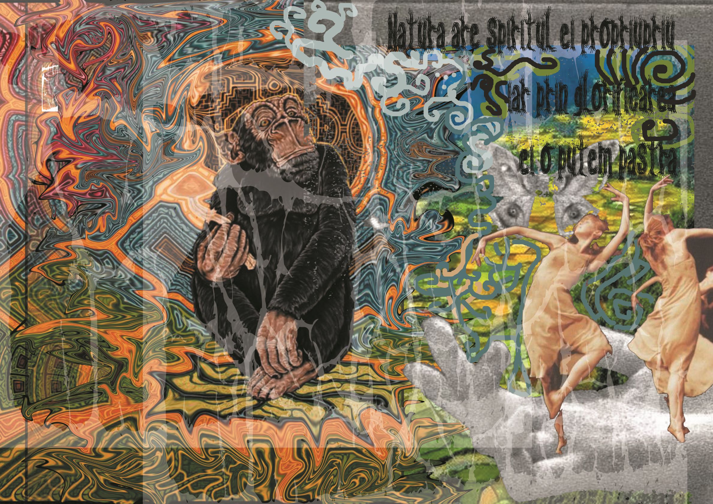 Andreea Denisa Teodorescusm