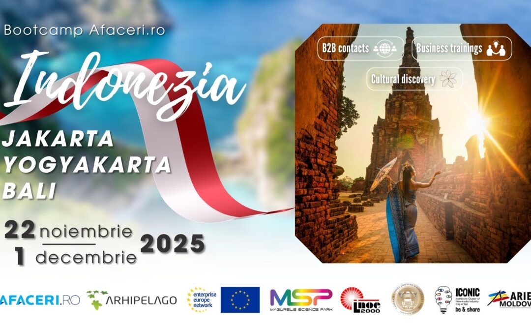 Bootcamp-ul Afaceri.ro Indonezia 2025